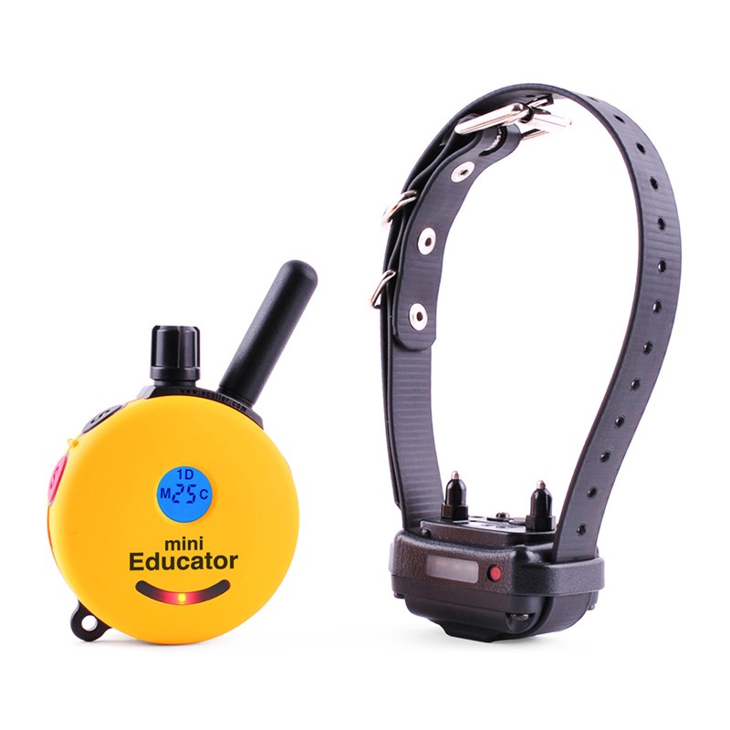 ET-300 Mini Educator remote training system